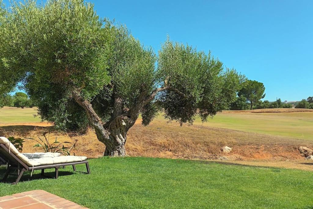 Casa Los Olivos Arcos de la Frontera Zewnętrze zdjęcie