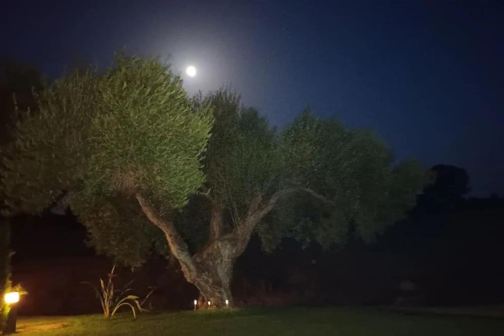 Casa Los Olivos Arcos de la Frontera Zewnętrze zdjęcie