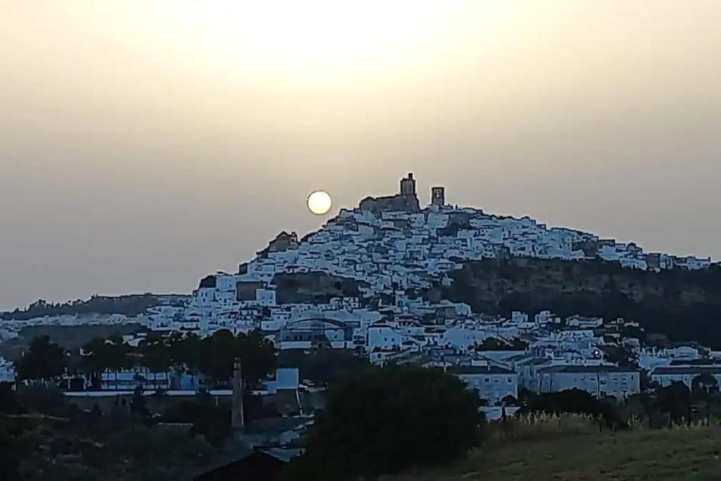Casa Los Olivos Arcos de la Frontera Zewnętrze zdjęcie